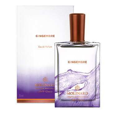 Gingembre