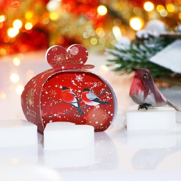 Merry Christmas Gastzeep
