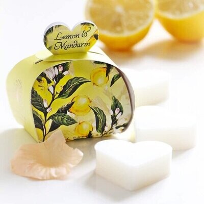 Lemon & Mandarin Gastzeep