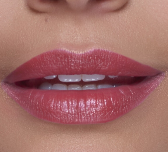 Perfect Moisture Lipstick Precious Rose 151
