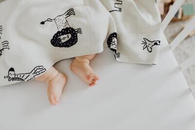 Bed en buggy