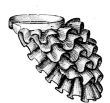 bustlepad