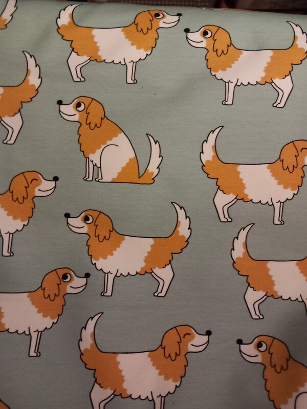 Stof aan de meter hond