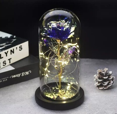 Beauty And The Beast Rose Rose In LED Glass Dome