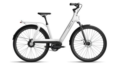 Tenways AGO-T 25km/u