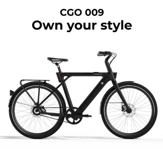 Tenways CGO009 25km/u