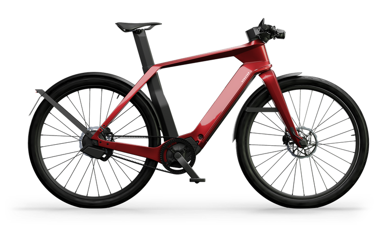 Specter 1 S-Pedelec 45km/u Maple