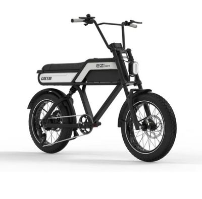 Fatbike