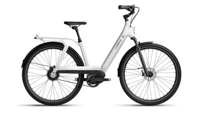 Tenways AGO-T 25km/u
