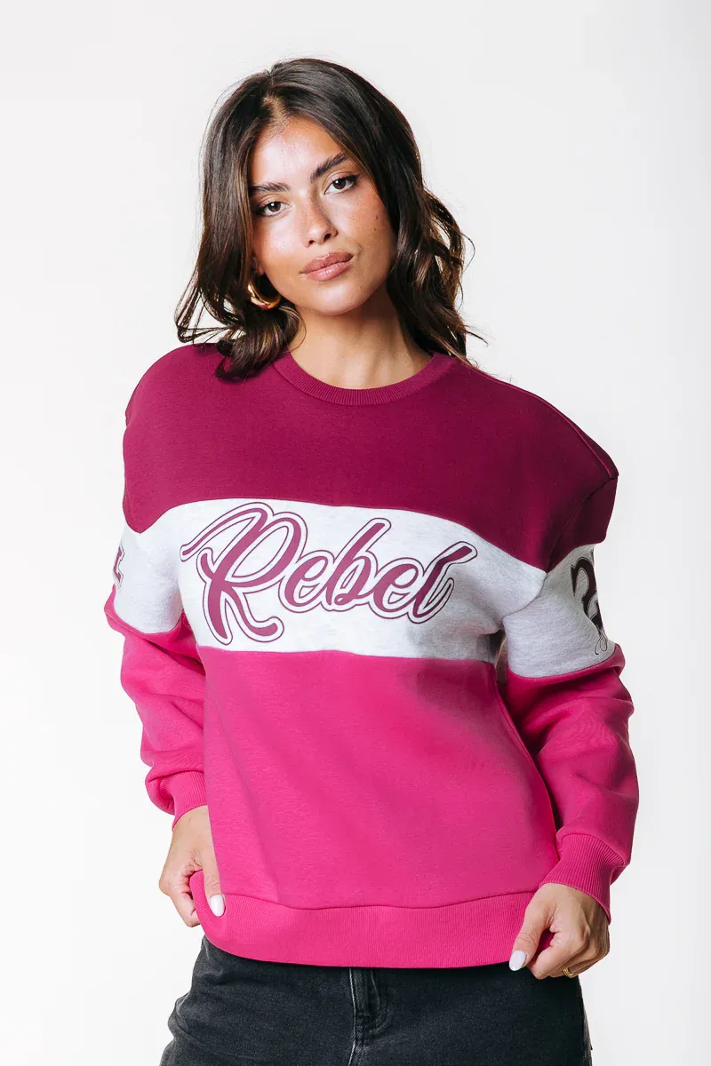 Colourful Rebel Logo Sweat Pink