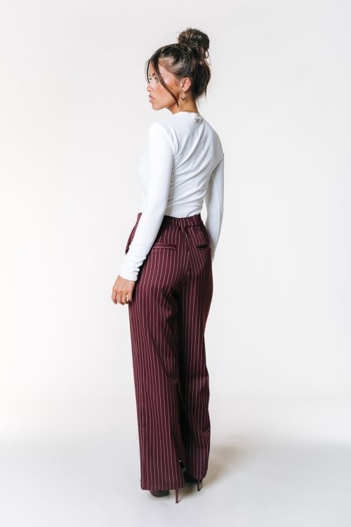 Colourful Rebel Rus Pinstripe Pants Burgundy