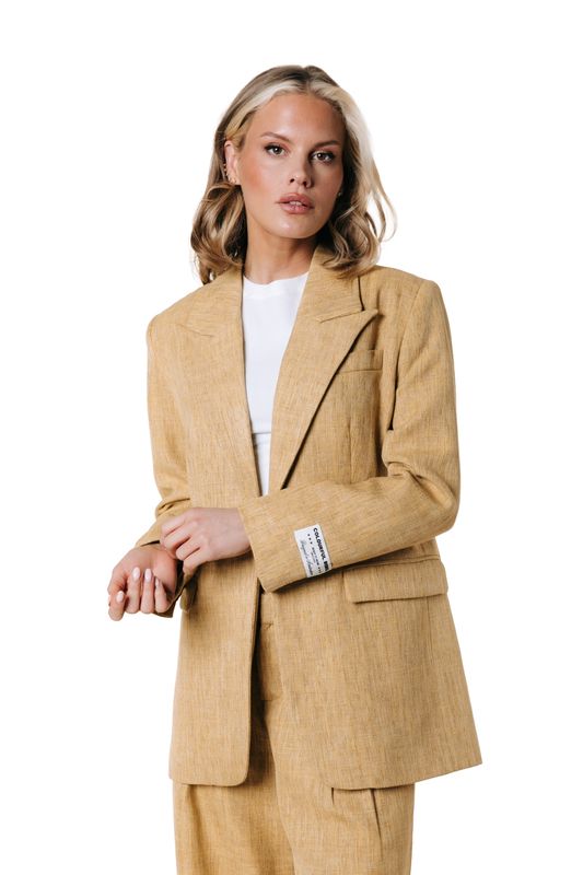 Colourful Rebel Bowie Blazer Yellow
