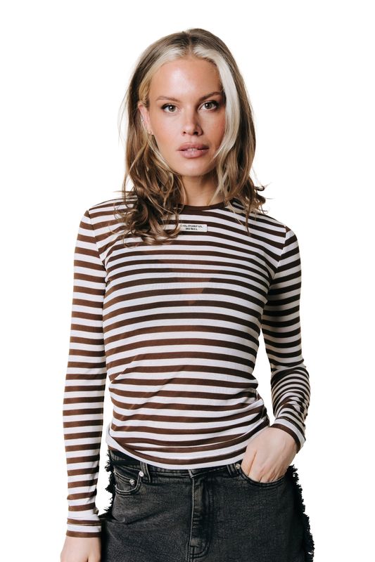 Colourful Rebel Juna Stripe Tee Brown
