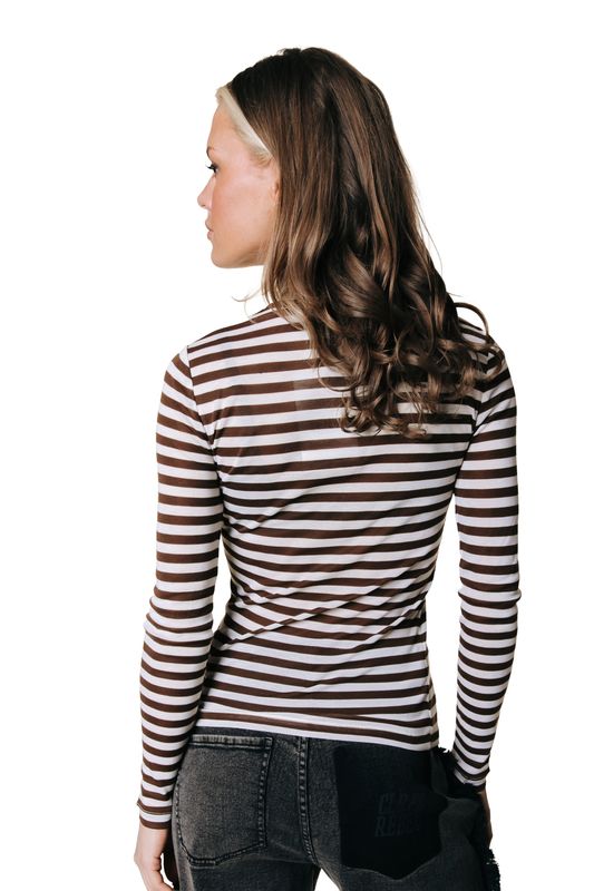 Colourful Rebel Juna Stripe Tee Brown