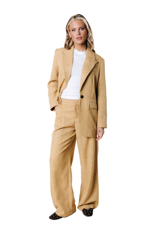 Colourful Rebel Maggy Pants Yellow