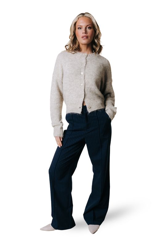 Colourful Rebel Rus Pants Navy