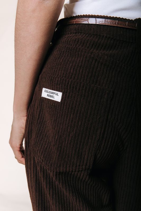 Colourful Rebel Gaias Corduroy Pants Brown