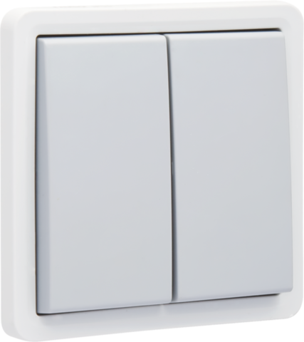 Niko 700-35000 Spuitwaterdichte, niet-verlichtbare dubbele drukknop 10 A/250 Vac met 2 N.O.- of N.G.-contacten, met schroefklemmen, grey Niko 700-35000 Spuitwaterdichte, niet-verlichtbare dubbele drukknop 10 A/250 Vac met 2 N.O.- of N.G.-contacten, met schroefklemmen, grey