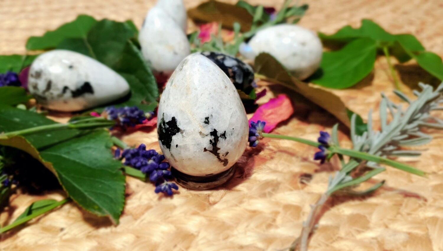 Rainbow Moonstone Egg