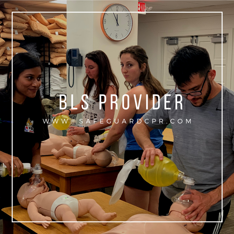 Group BLS Provider 10-19 people