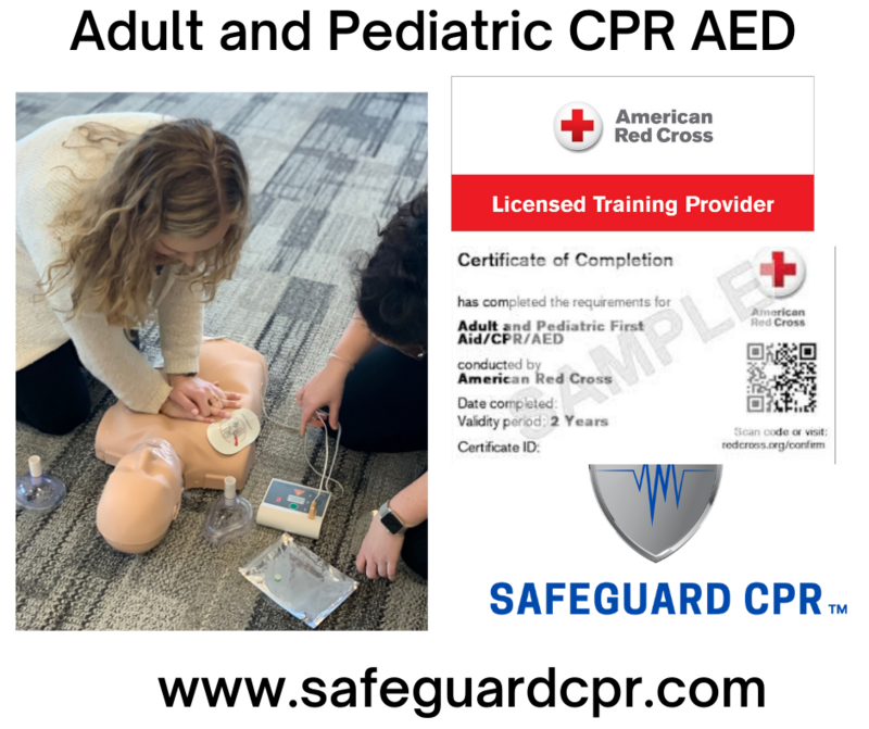 Group Adult and Pediatric CPR AED​ 5-9 people