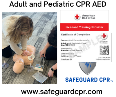 Group Adult and Pediatric CPR AED​ 20+ people