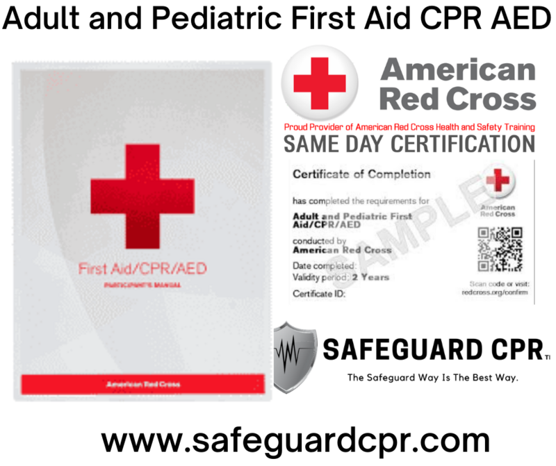 Adult and Pediatric First Aid CPR AED
