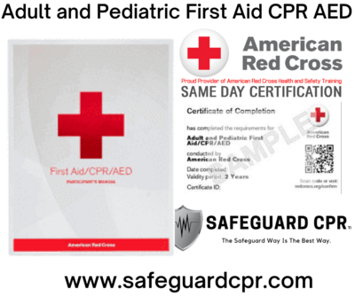 Adult and Pediatric First Aid CPR AED