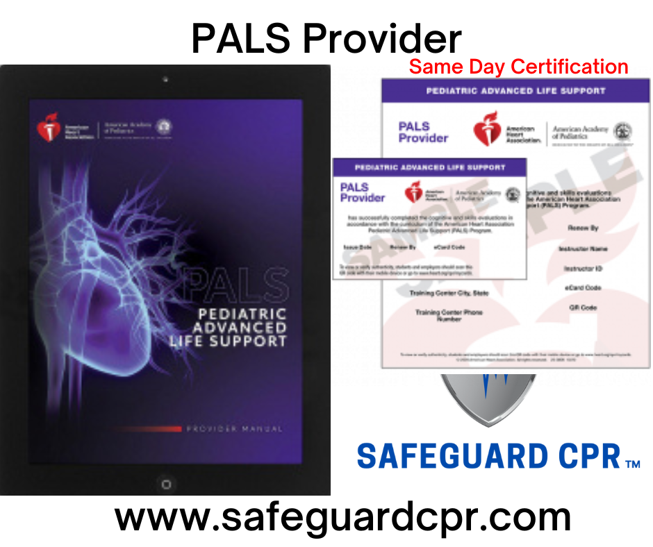PALS Provider