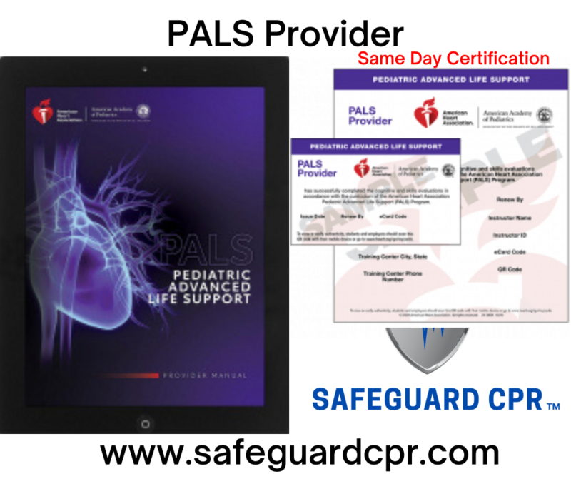PALS Provider