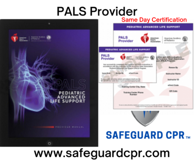 PALS Provider