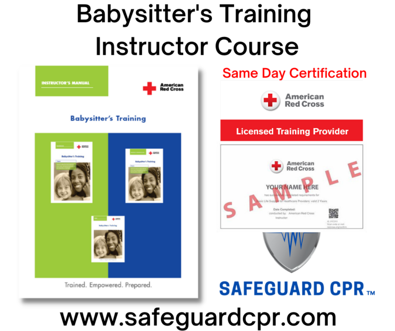 Babysitter&#39;s Training Instructor