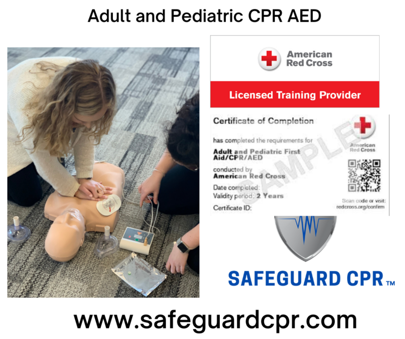 Adult and Pediatric CPR AED