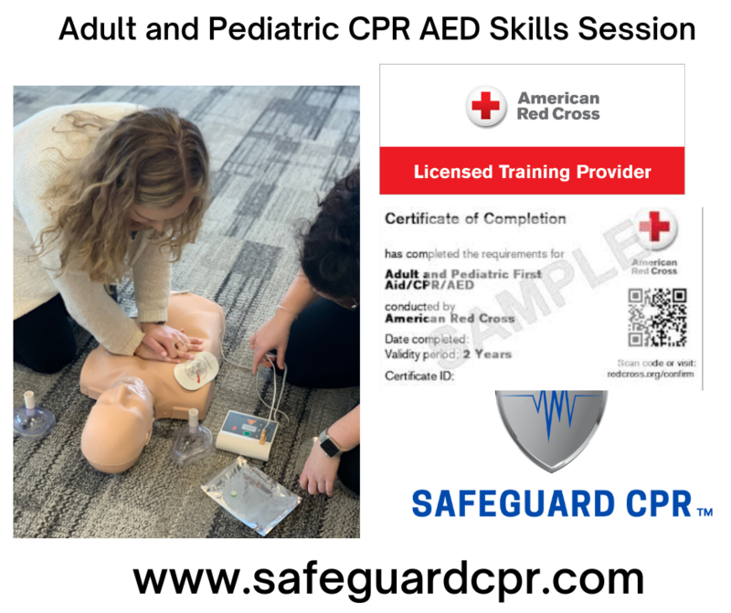 Adult and Pediatric CPR AED Skills Session