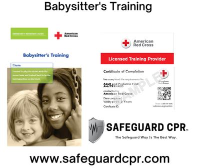 Babysitter's Training