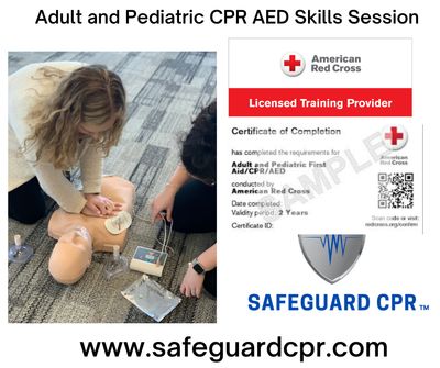 Adult and Pediatric CPR AED Skills Session