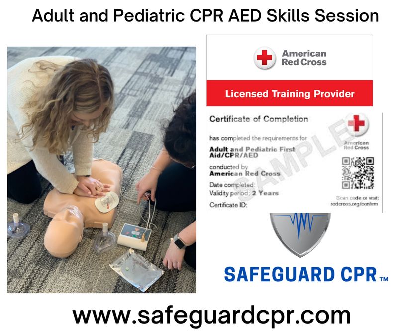 Adult and Pediatric CPR AED Skills Session
