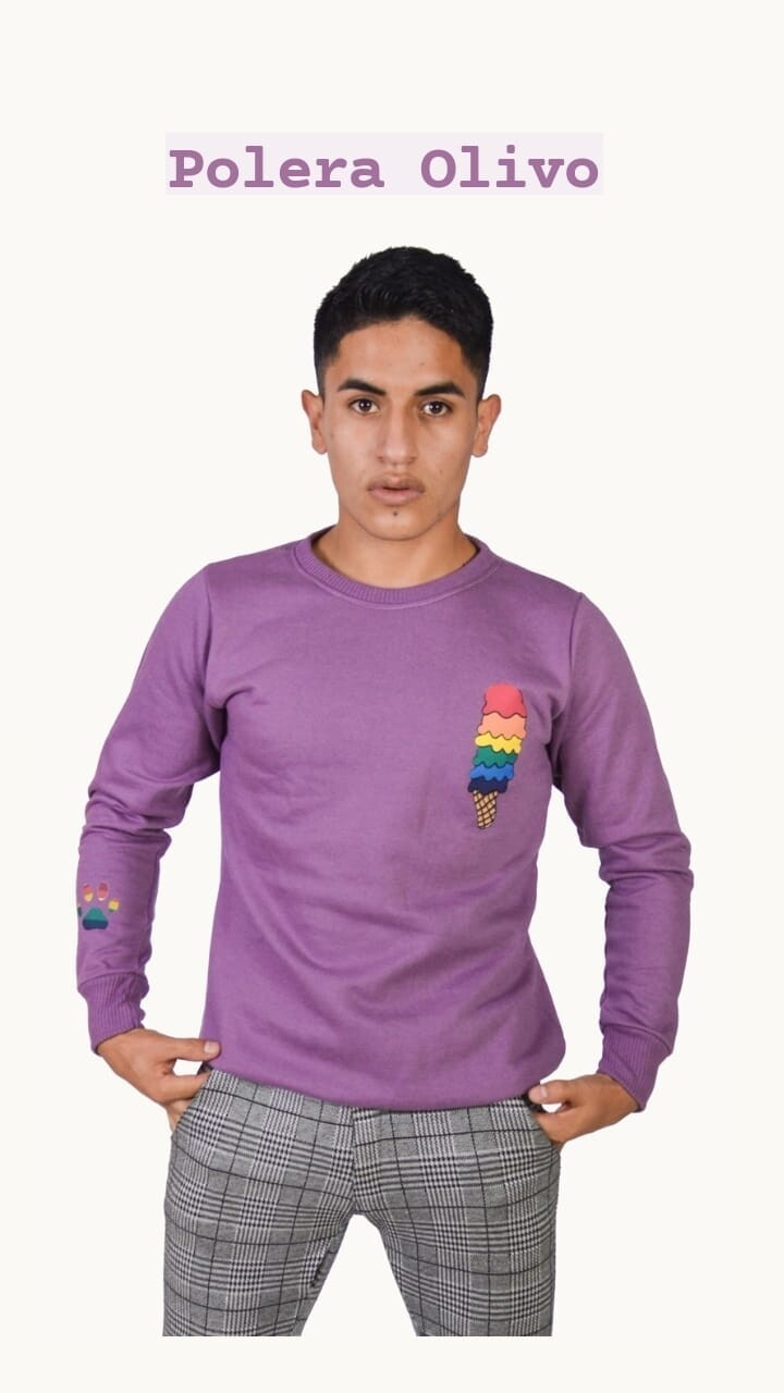 Polera de helado arcoiris y patita de arcoiris