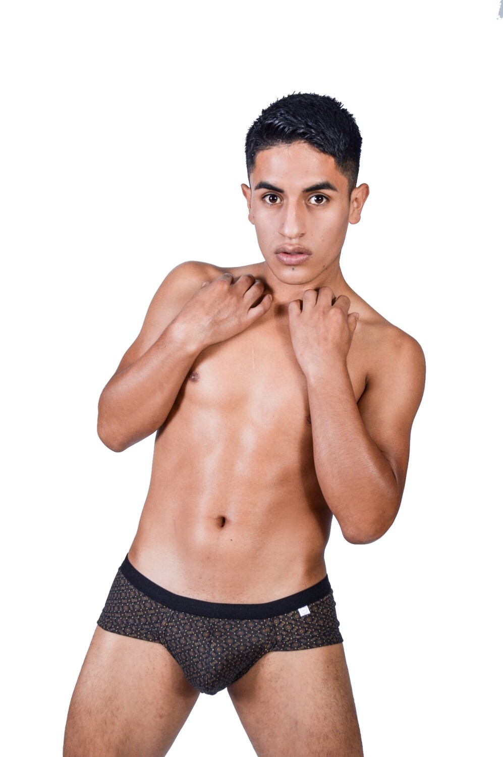 Brief animal print