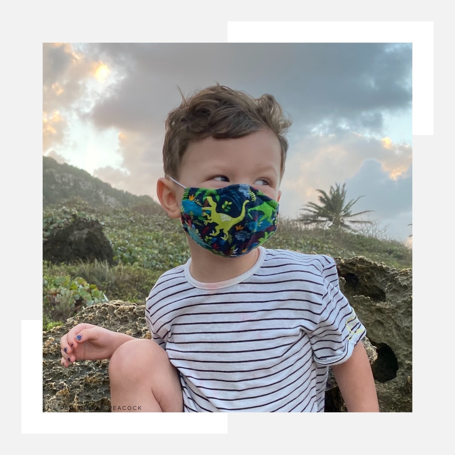 Custom Fitted Mask