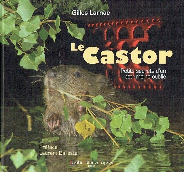 Le Castor - Découvrons les Petits Secret d'un Patrimoine oublié - Le Comportement, Sa Personnalité et les Mythes ou Réalité...
