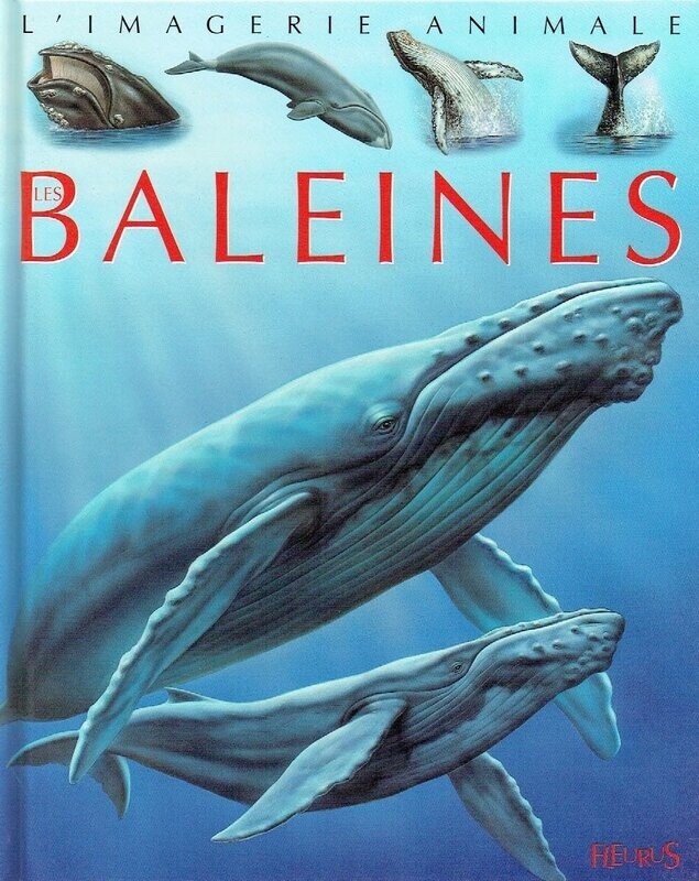 La Grande Imagerie - Les Baleines