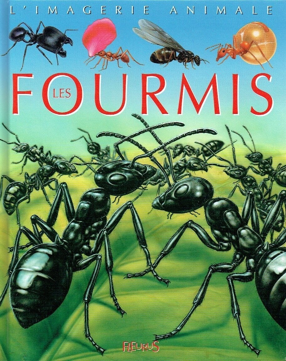 Collection La Grande Imagerie "Les Fourmis", A travers de Textes et d'Illustrations magnifique, Comprendre ces Incestes...