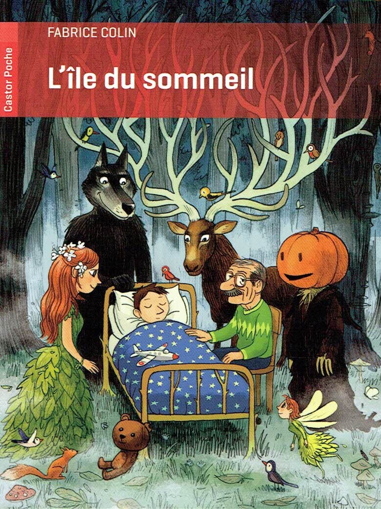 l’île de mes rêves, "L’île du Sommeil", Après un accident de vélo, Eelian se retrouve dans un monde parallèle, peuplé de créatures extraordinaires...