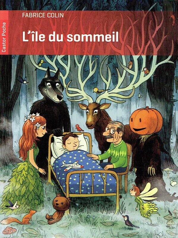 l’île de mes rêves, "L’île du Sommeil", Après un accident de vélo, Eelian se retrouve dans un monde parallèle, peuplé de créatures extraordinaires...