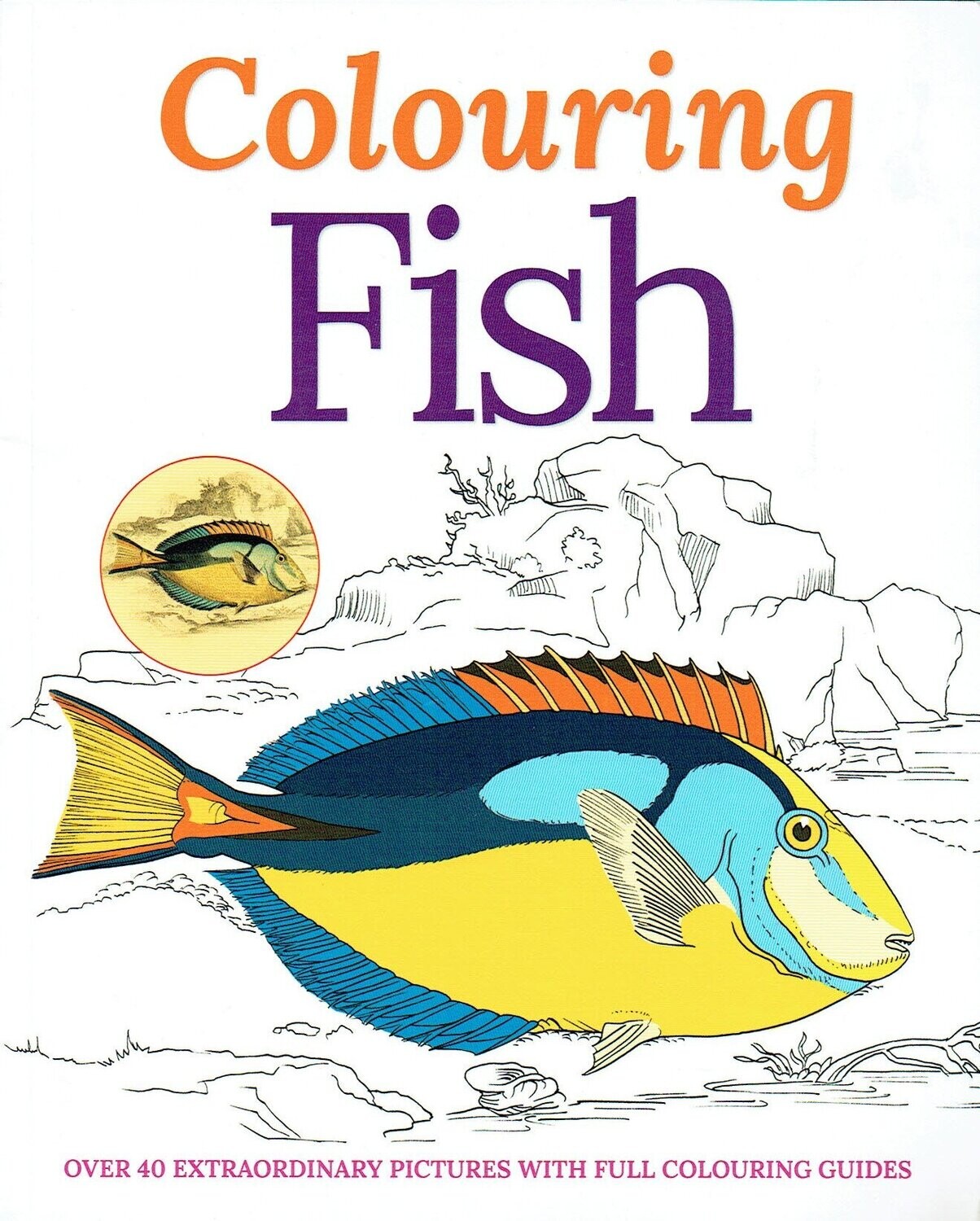 Colouring Fish - Poisson à Colorier avec Photos Réels