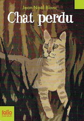 L'Histoire d'un "Chat Perdu", j'ai été oublié "Peut être", ma Vie de Château se Transforme en de Ruelle, de Froid, je Découvre les Danger de...