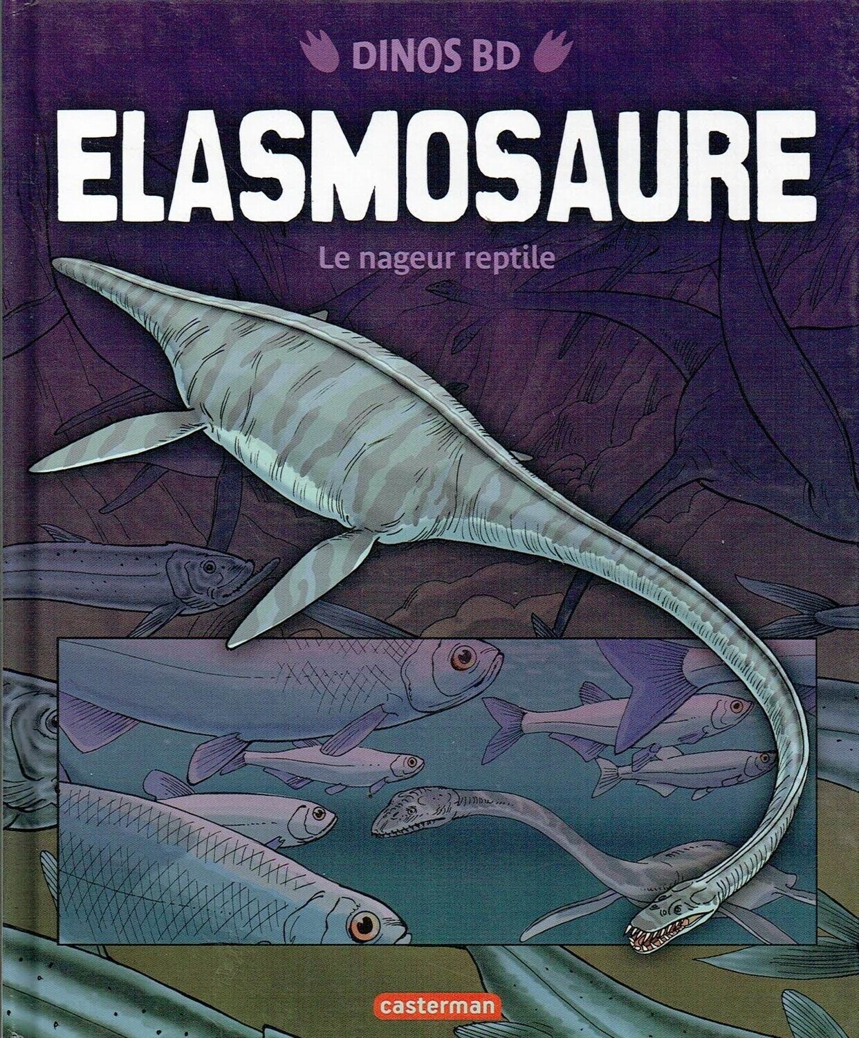 La Dinos en BD "Elasmosaure", Des Fabuleux Dinosaures. Bipèdes ou Quadrupèdes, Herbivores ou Carnassiers, Partagez les Paysages qui les Entourent.