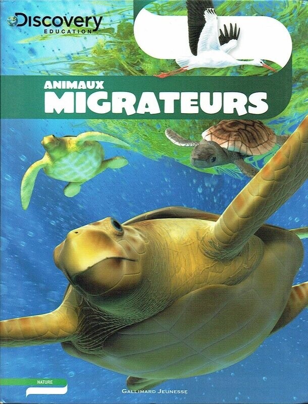 Discovery - Nature - Animaux Migrateurs