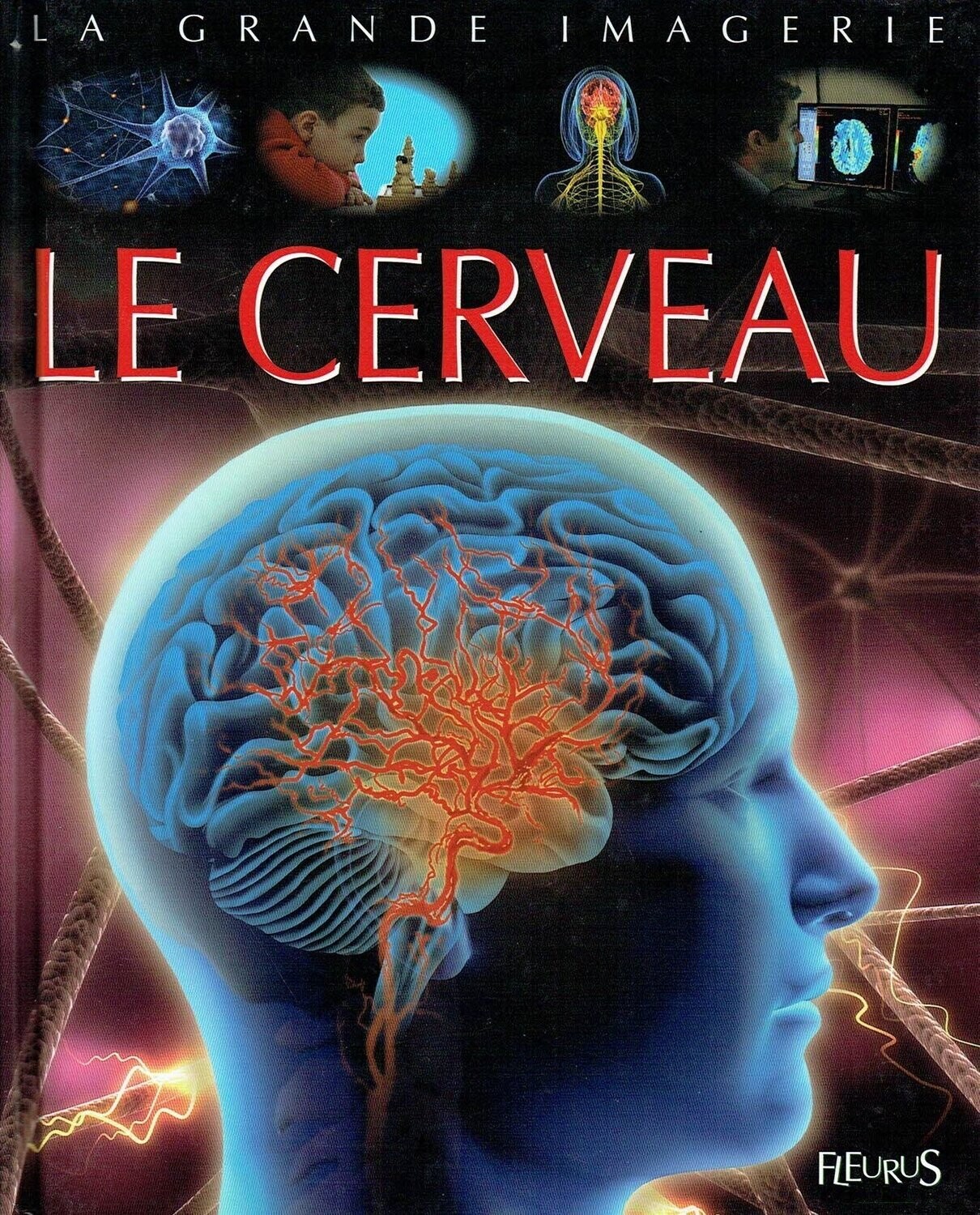 La Grande Imagerie, "Le Cerveau", Allez à la Découverte de ce Fabuleuse Système Nerveux, des Neurones, un Réseau, une Moelle Épinière...
